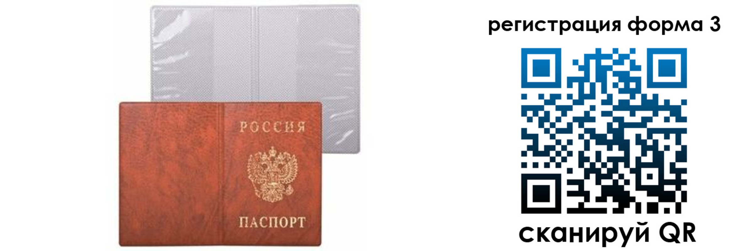 прописка 2025 в Ипатово
